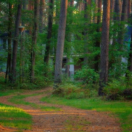 Vila Pawilon 12 Sulejów Exteriér fotografie